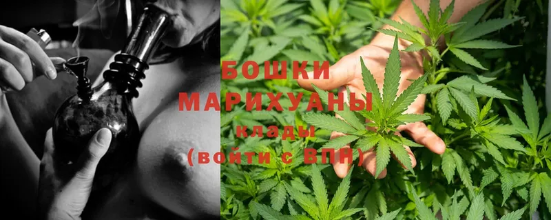 Бошки марихуана OG Kush  Белоярский 